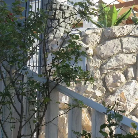 Agava * Dubrovnik