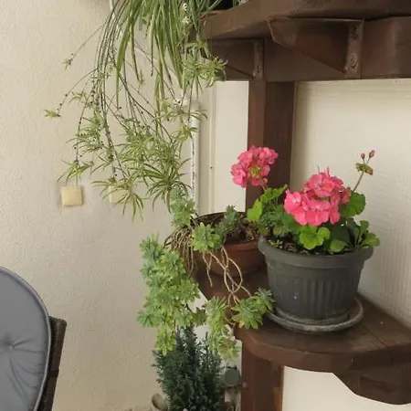 Apartman Agava Dubrovnik