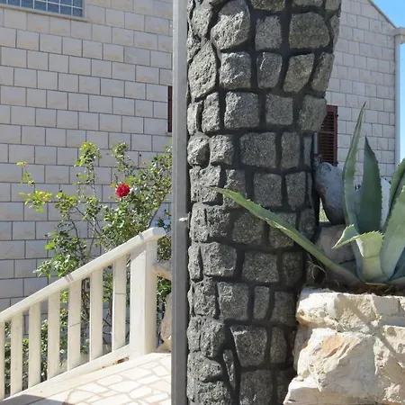 Apartament Agava *
